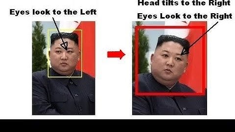 [AI Art] Change Eye and Head Positions with AI Using NVidia Vid2Vid Cameo Tool