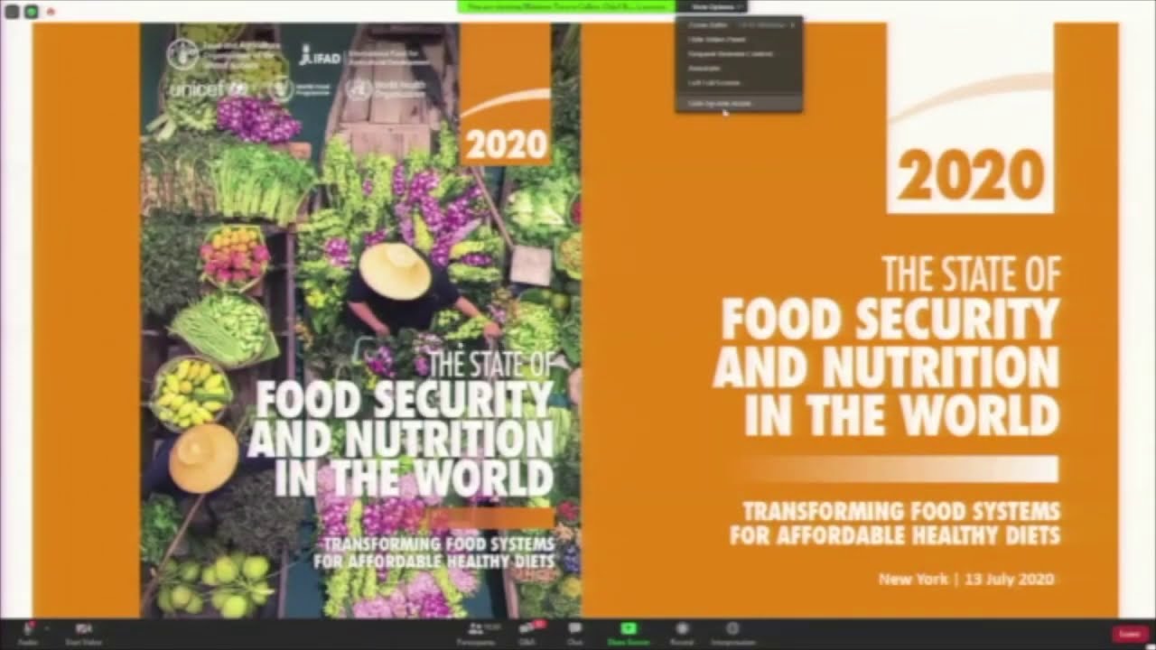 State of Food Security and Nutrition in the World 2020 - YouTube