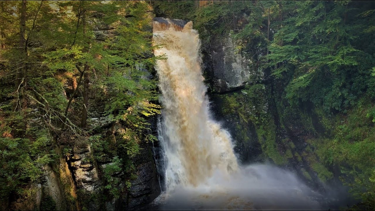 Exploring Bushkill Falls, PA - lovely waterfalls and mushrooms! - YouTube