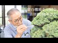 先輩の棚場をご紹介 ! 吉祥園 岡本さんの盆栽