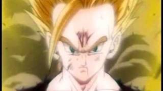 Gohan Phenomenon Beta 2