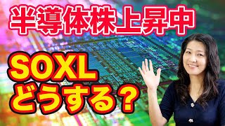【米株上昇中！】SOXL 半導体株は今後どうなる？