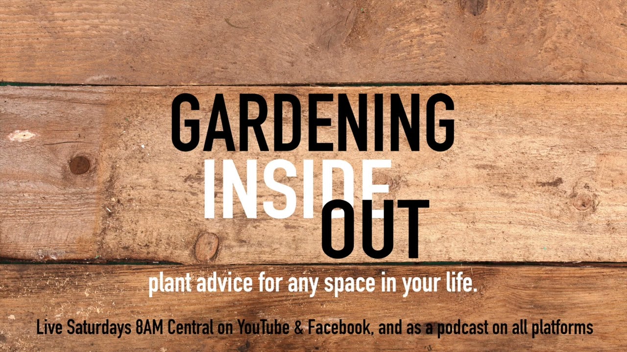 Ep. 19 | Boxwood Bonanza, All About Winter Pruning | Gardening Inside Out Podcast | Dec 9