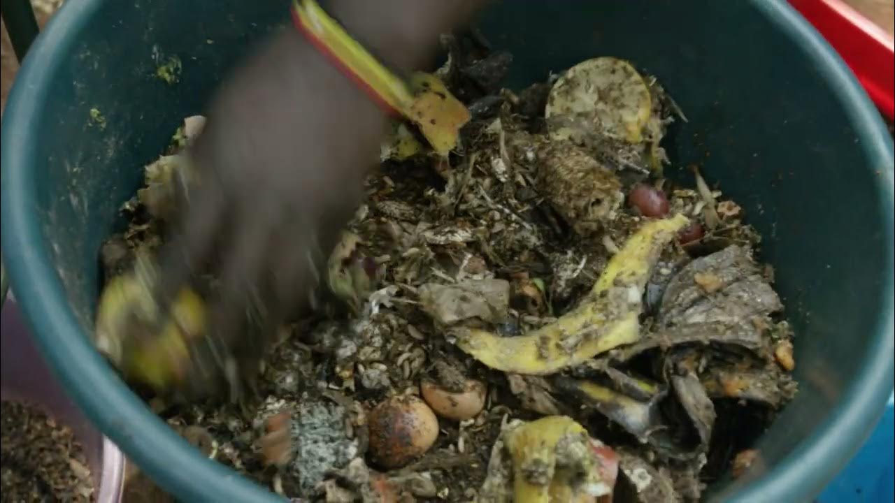 02 Household Black Soldier Fly Rearing Household/Kitchen Kit and