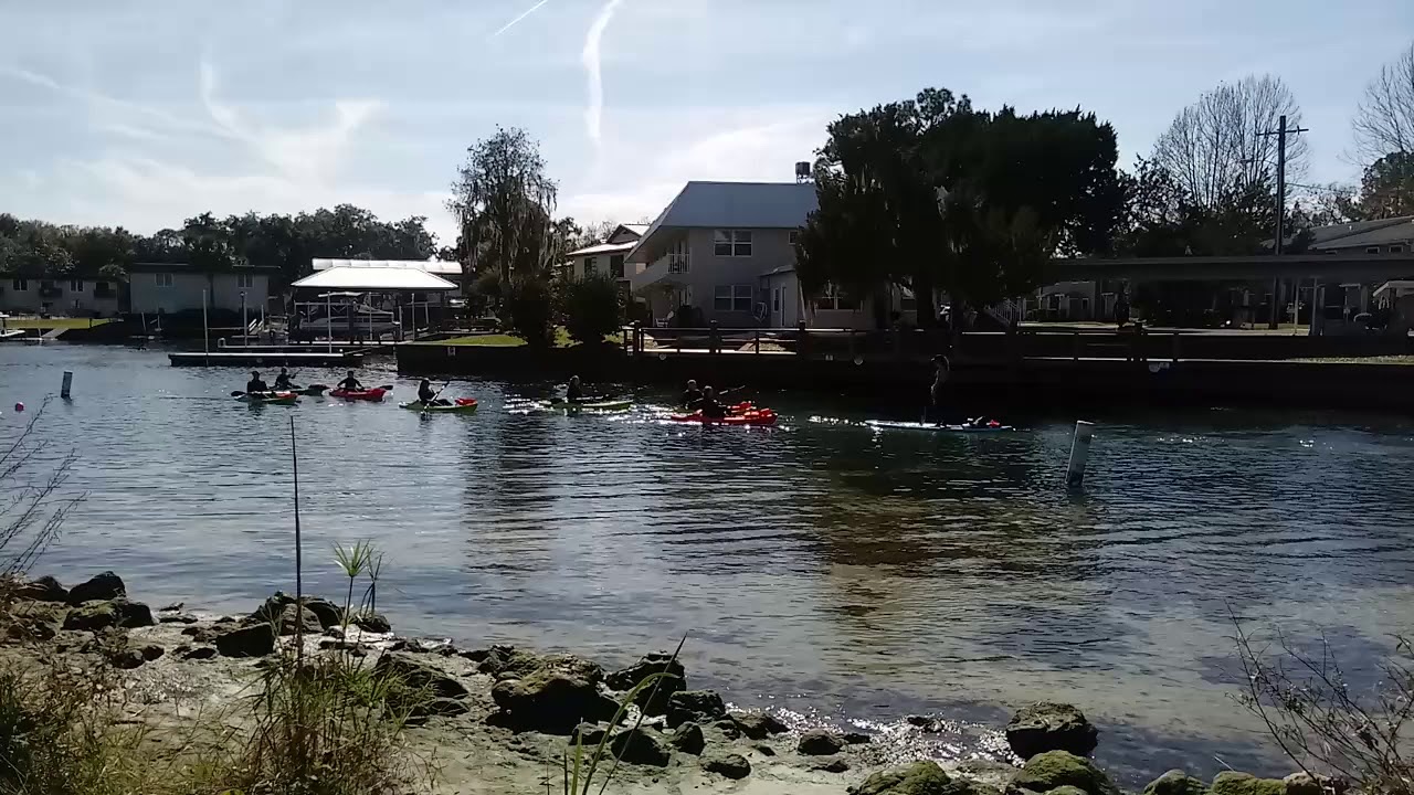 0102201253 Hunter Springs Park Crystal River Kayaking Jan 2020