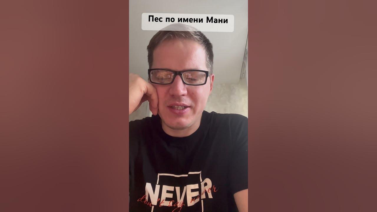 Пес по имени Мани - YouTube