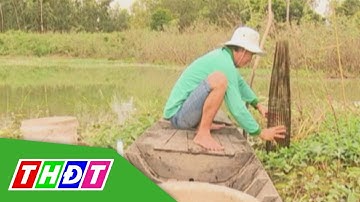 Bắt cá rô đồng bằng xà di | THDT