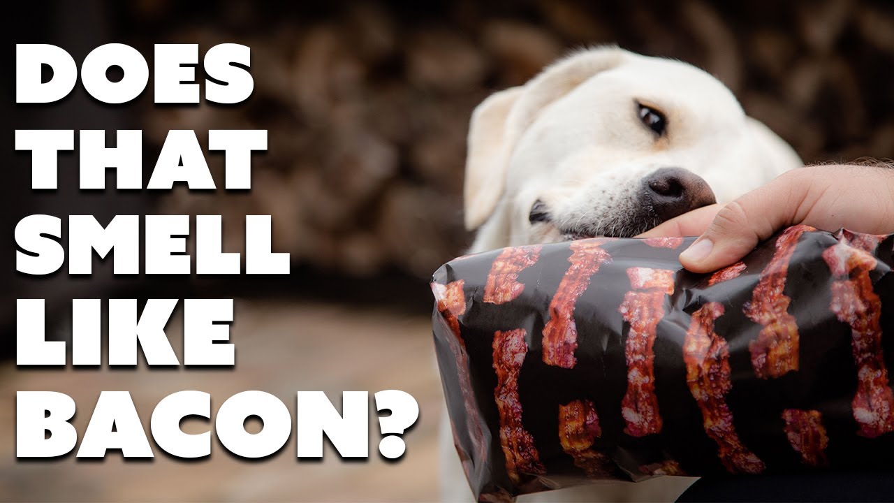 Unique Birthday Gifts for Him | Best Birthday Gift Ideas for Dad