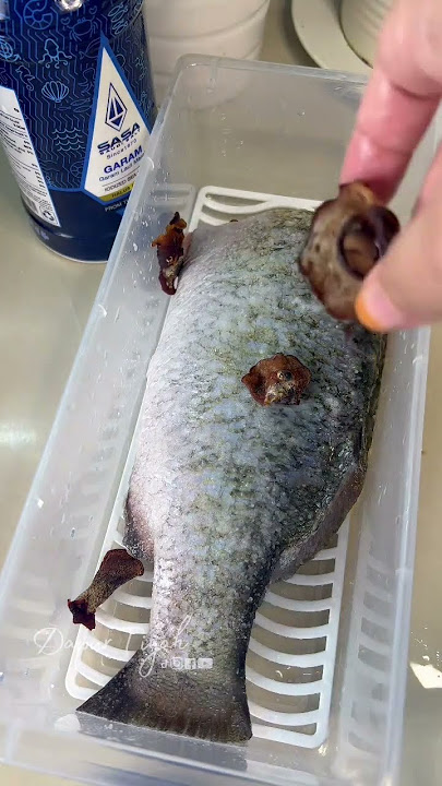 ikan masam bekok cara saya bukan cara awak