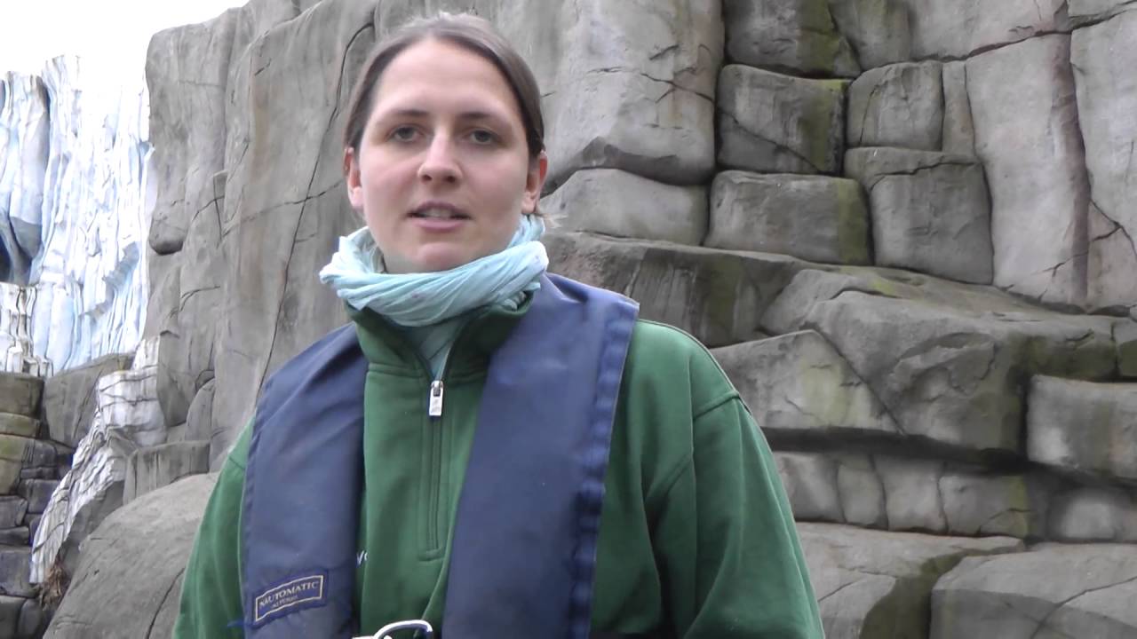 Walrossjunge Thor ist ein Musterschüler