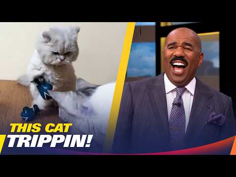 This Video Had Everyone Laughing Nonstop | Steve Harvey