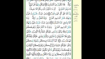 سورة البقرة الجزء الثانى|الصفحة ٢٣|الذين ءاتيناهم الكتاب يعرفونه كما يعرفون أبنآءهم| الآيه مكررة