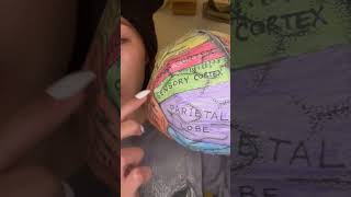 Tracing the Brain #asmr #asmrtapping #lofiasmr #asmrtracing #tracing