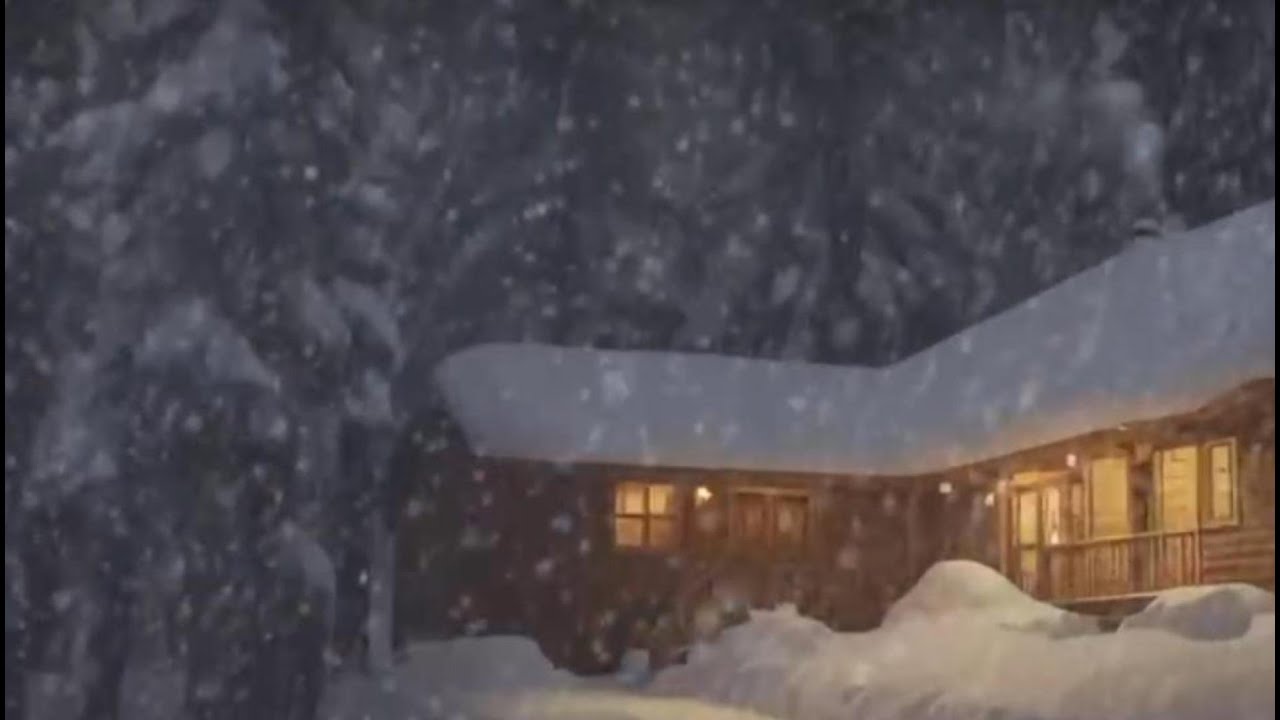 Sleep All Night ️ Blizzard Snowstorm Sounds for Deep Sleep (11 Hours ...