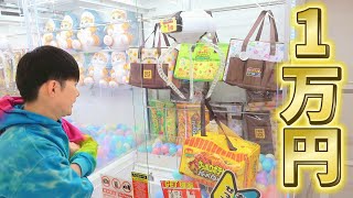 『万円』クレーンゲームいくつGETできるグランドオープン年後のお店。千葉鑑定団成田芝山店もってきーな