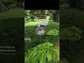 ОБЫЧНЫЙ ДЕНЬ КОГДА ЖИВЁШЬ ПЕЩЕРЕ в Ark Survival Evolved