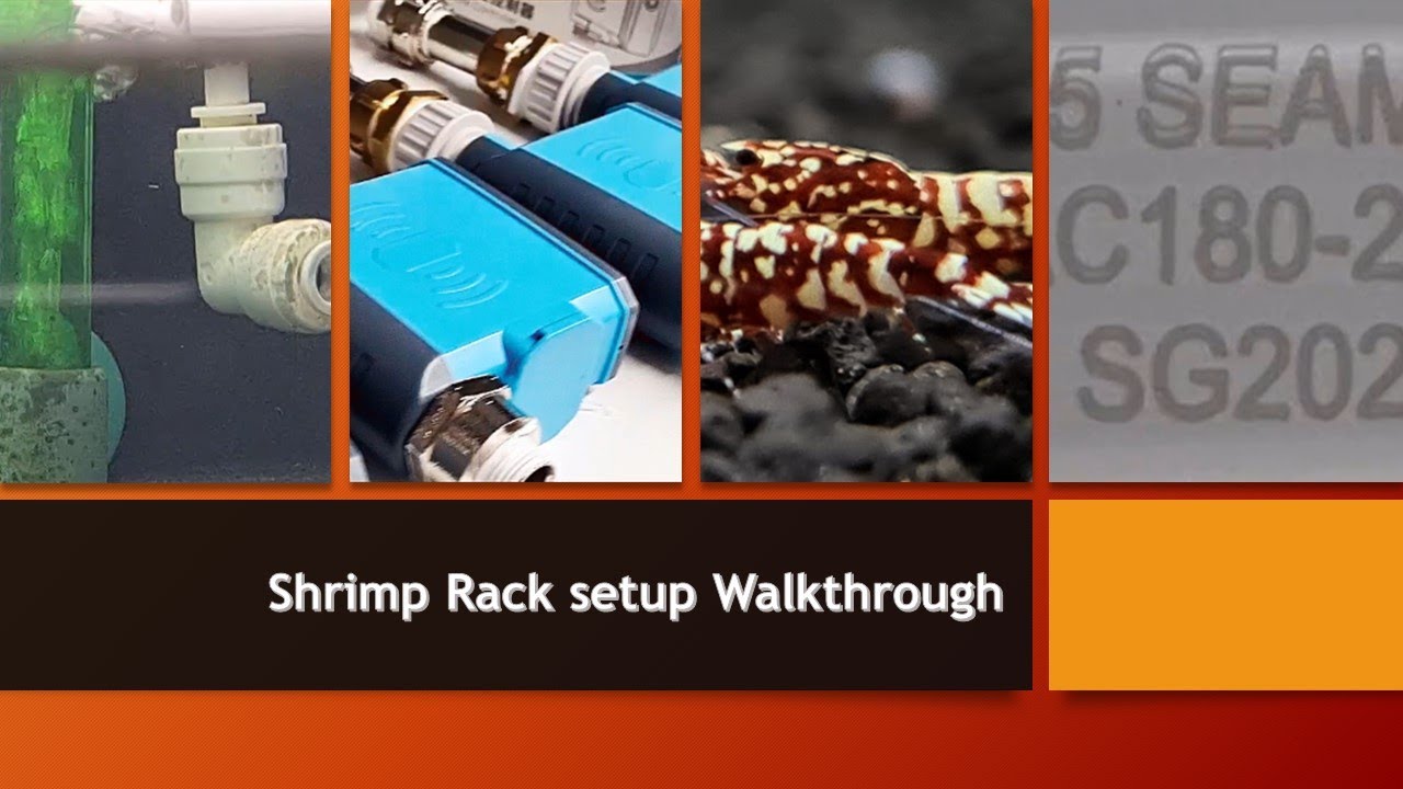 Shrimp Rack Setup walkthrough - YouTube