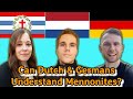 Can German &amp; Dutch Speakers Understand Plautdietsch (Mennonite Low German)?