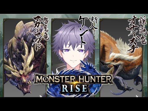 【モンハンライズ】百竜夜行が来る - 初見さんも大歓迎！【新人Vtuber/新人歌い手】ケント MHRise