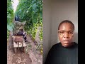 Tomato farming #gardeningtips #organicfarming #smartfarming
