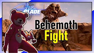 BearBear Vs Behemoth Fight