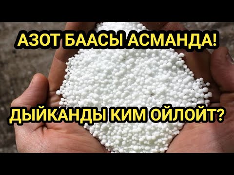 Video: Аоттун 139-бөлүмү чыктыбы?