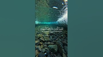 (والله يريد أن يتوب عليكم..)الاية | سورة النساء | عبد الباسط عبد الصمد