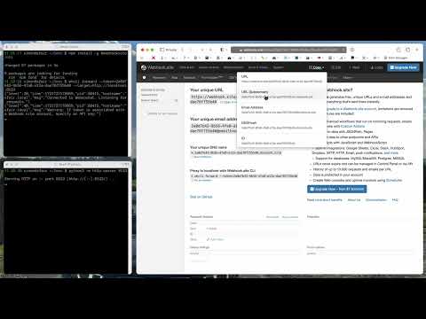 Webhook.site - Proxy local server to your Webhook.site URL