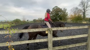 Eriders October 2024 Intro 2 ROR