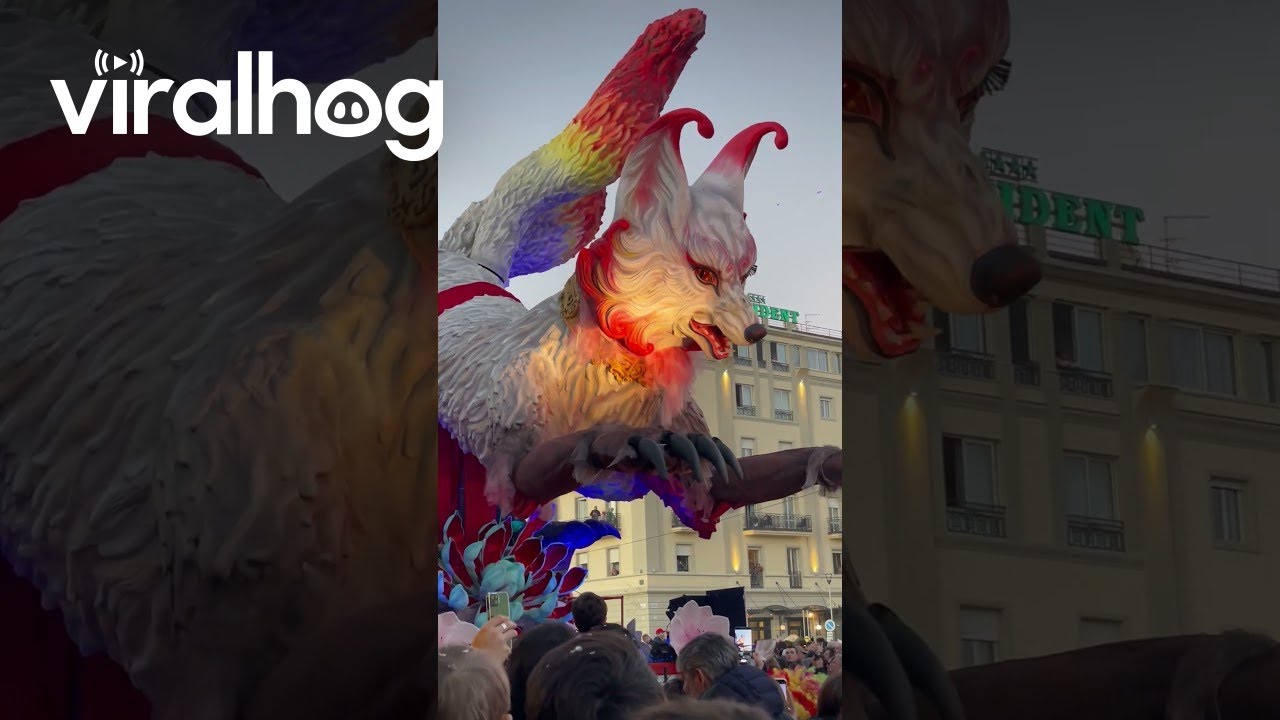 Giant Fox Statue Float Over Viareggio, Italy for Carnival || ViralHog
