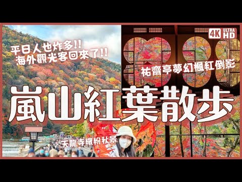 嵐山紅葉散步2022🍁海外觀光客回來了！渡月橋 疫情中新公開的賞楓景點祐齋亭 車站附近的天龍寺｜日本關西11月旅遊 京都嵐山 4K VLOG