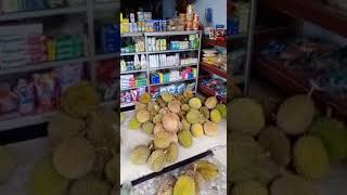 Musim Durian di watulimo , Trenggalek