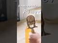 What gives a home bottle opener its real power? – Raymoto R1 Laser Engraver#laserengraving #diy