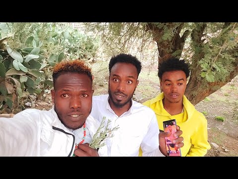 By By Deemne Nagayati