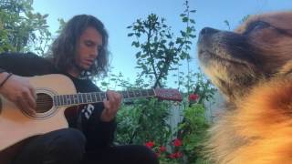 Pup Gets Serenaded