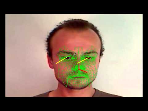 3D Gaze Tracking