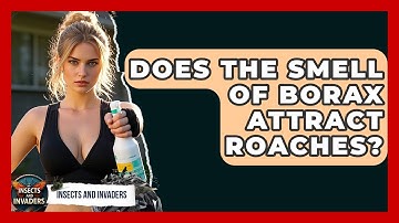 Does The Smell Of Borax Attract Roaches? - Insects and Invaders