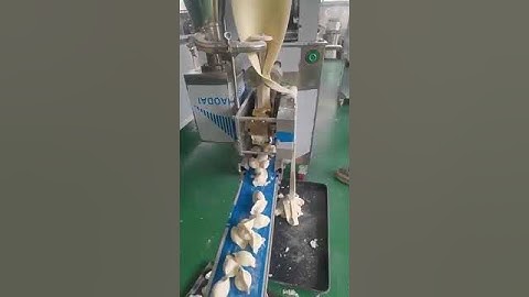 Stainless steel automatic dumpling machine automatic dumpling machine
