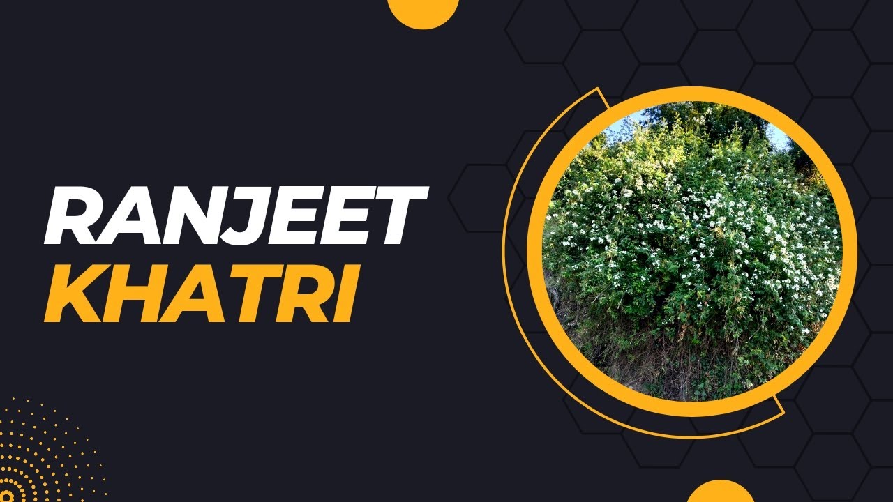 Palampur Vibes Collection