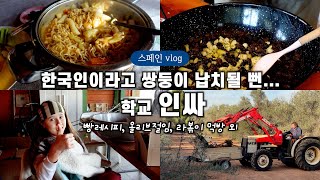 한국인이라고 데려가고 싶다는 아이들의 친구들 덕에 요즘 신났어요! feat.올리브절임과 떡볶이