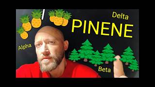 PINENE - THE MIRACLE TERPENE