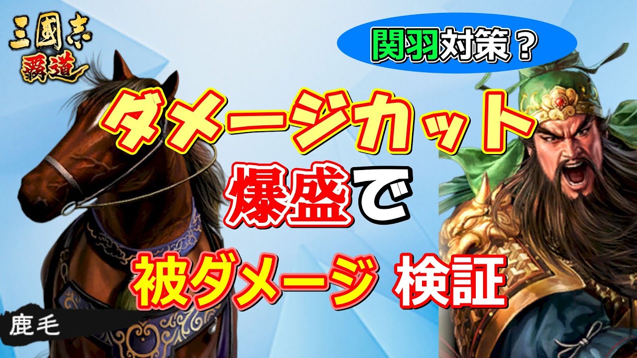 【三國志 覇道】関羽対策！？被ダメージ検証！