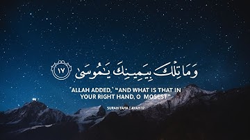 ساعة كاملة ⏱️🎧 | تلاوة لمن أراد الراحة النفسية والسكينة وهدوء القلب 😴 | القارئ محمد مسعد ♥️