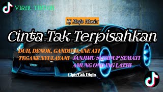 Download Lagu DJ CINTA TAK TERPISAHKAN || DJ VIRAL TIK TOK || RISFA MUSIC MP3
