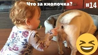 Кнопочка)) Приколы за май 2019. Смотри!