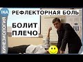 БОЛИТ ПЛЕЧО. РЕФЛЕКТОРНАЯ БОЛЬ. Обучение кинезиологии в Германии