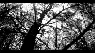 Video thumbnail of "Io sono un albero  - Regia e musica di Andrea Maffei - Parole e voce di Master Enjoy"