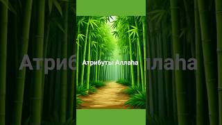 Учим Атрибуты Аллаha