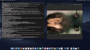 Image Glitch Text Edit