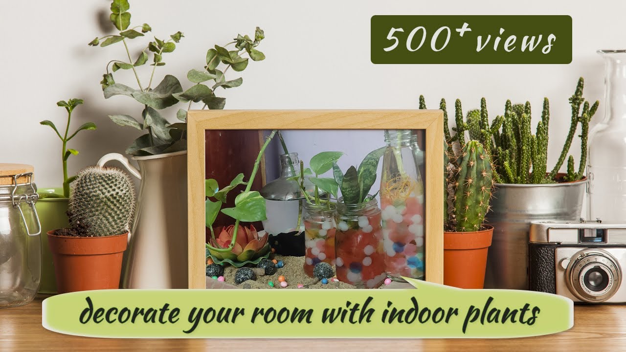 How To Grow and Care Indoor Plants | Gardening Tips for Beginners 